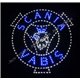 Scania Vabis LED logo / Ledbord / Vrachtwagenlogo