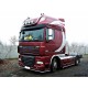 Sidebars Daf XF 105 